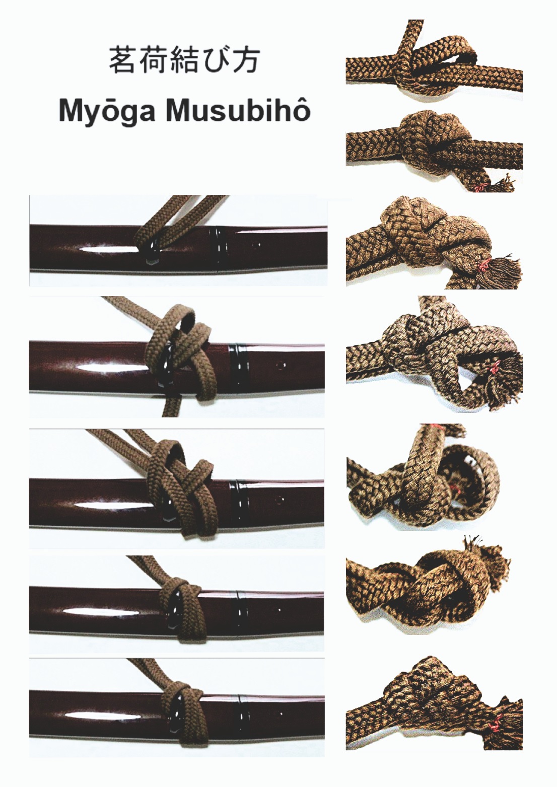 Myougamusubi
