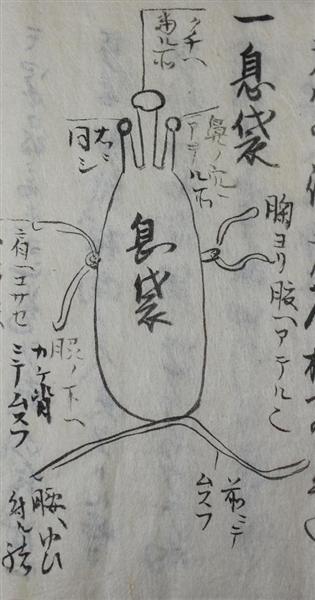 IKIBUKURO