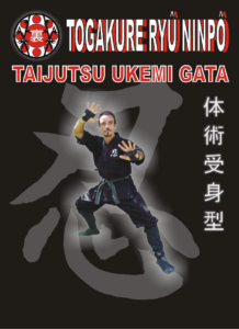 Seminario_Togakure_ws